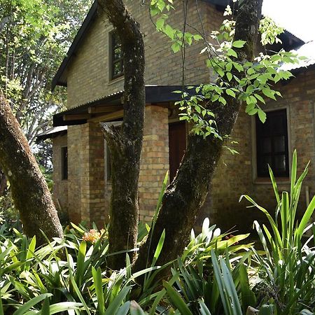 Molly'S Cottage Graskop Εξωτερικό φωτογραφία