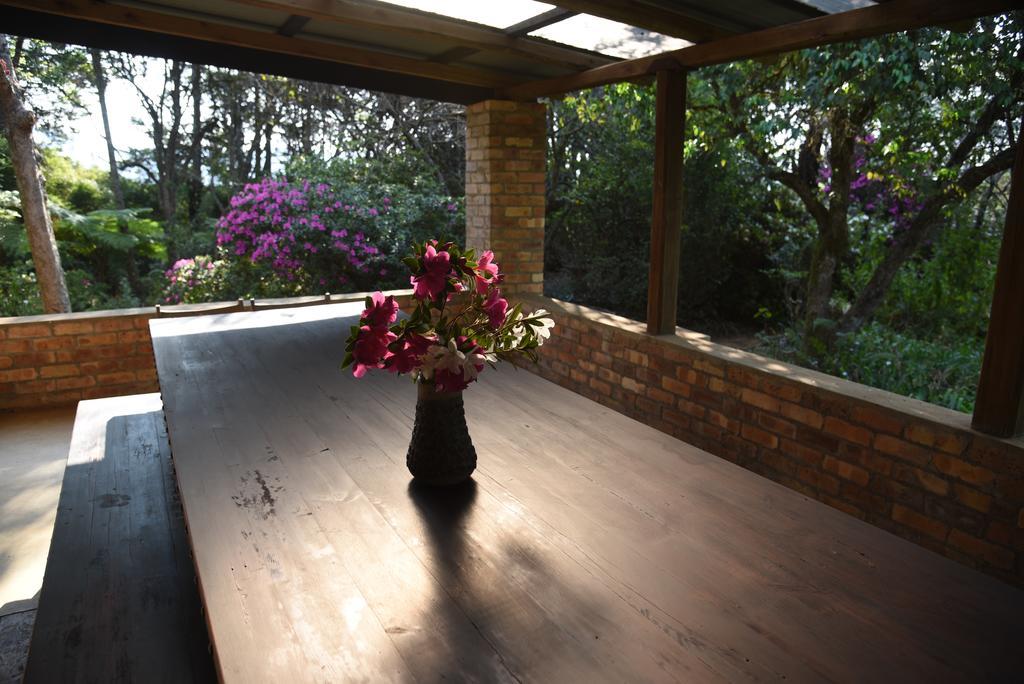 Molly'S Cottage Graskop Εξωτερικό φωτογραφία