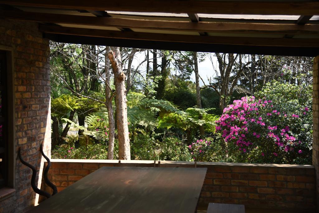 Molly'S Cottage Graskop Εξωτερικό φωτογραφία