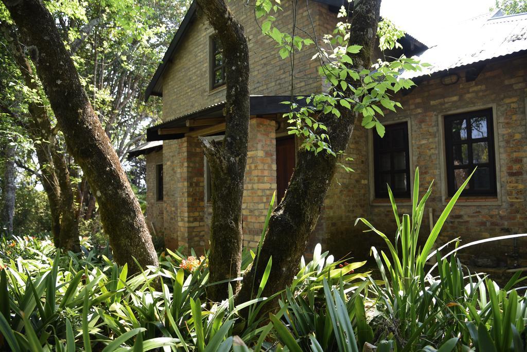Molly'S Cottage Graskop Εξωτερικό φωτογραφία